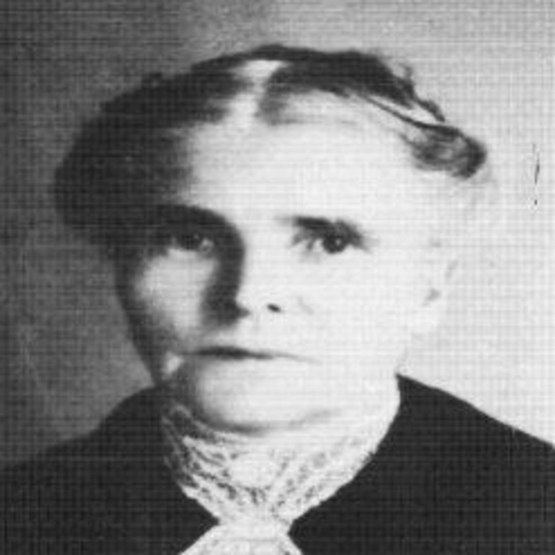 Hannah Stiff (1839 - 1920) Profile